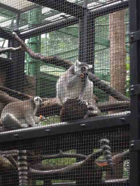 n_HongKong mei 2008 029.jpg